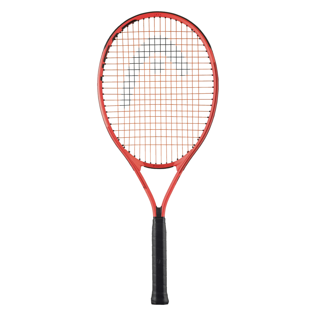 Head Radical Junior 26 - transparent background, standardized