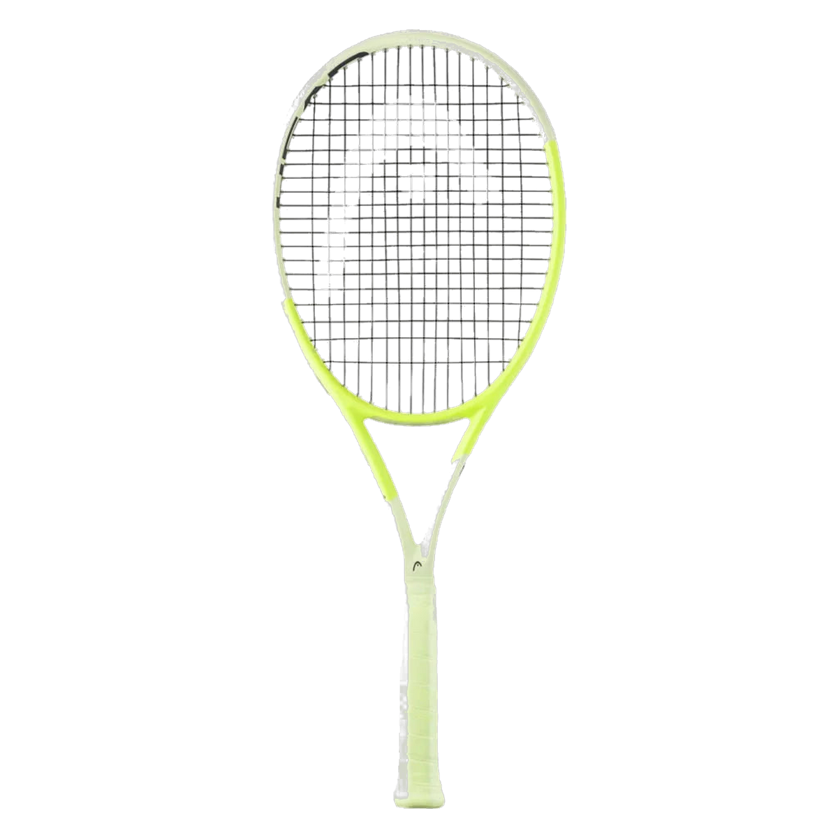 Head Extreme Pro 2024 - transparent background, standardized