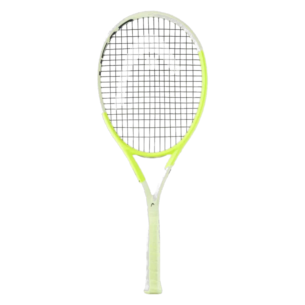 Head Extreme MP L 2024 - transparent background, standardized